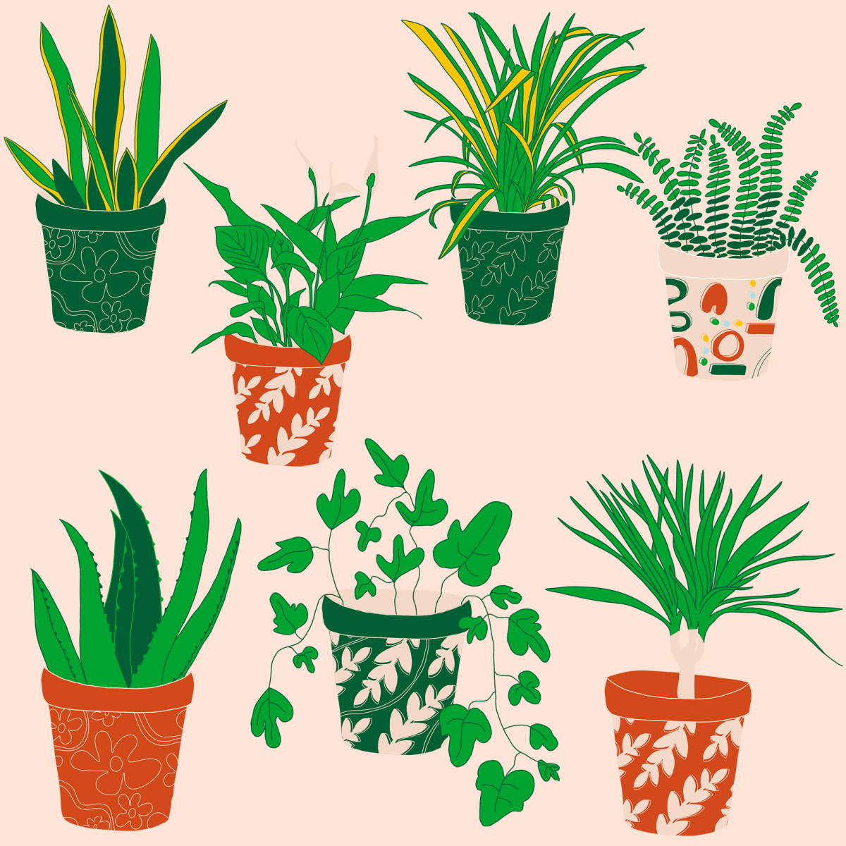 Collaborative Practice –&nbsp;Plants